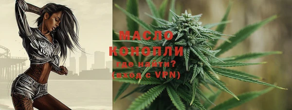 PSILOCYBIN Инсар