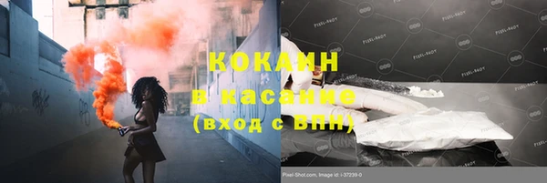 каннабис Инта