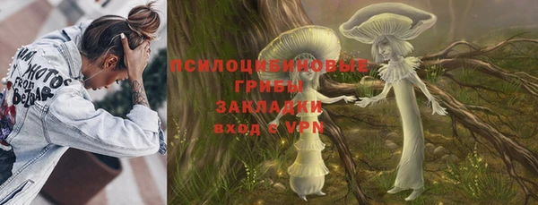 МДПВ Иннополис