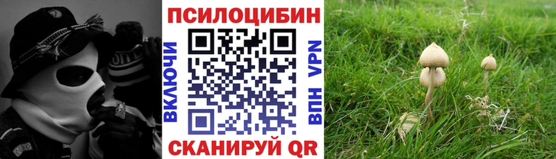 Купить где Вуктыл Галлюциногенные грибы MAGIC MUSHROOMS