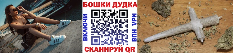 Конопля гибрид Вуктыл